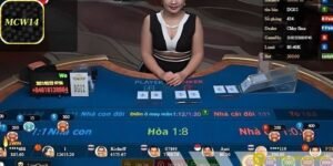 Ngoài việc dự đoán, quản lý vốn là yếu tố không thể thiếu