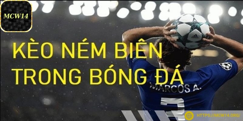 Thống kê thông số, lịch sử các trận đấu