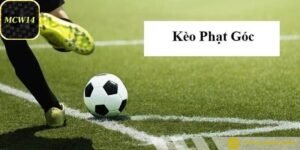 Thống kê lịch sử trận đấu