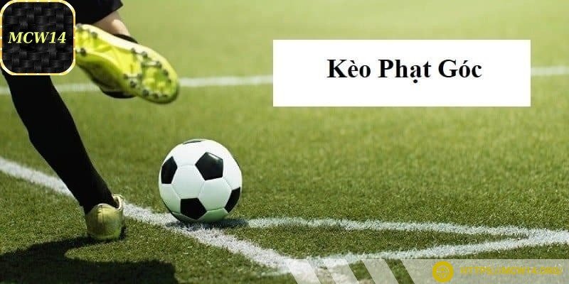 Thống kê lịch sử trận đấu
