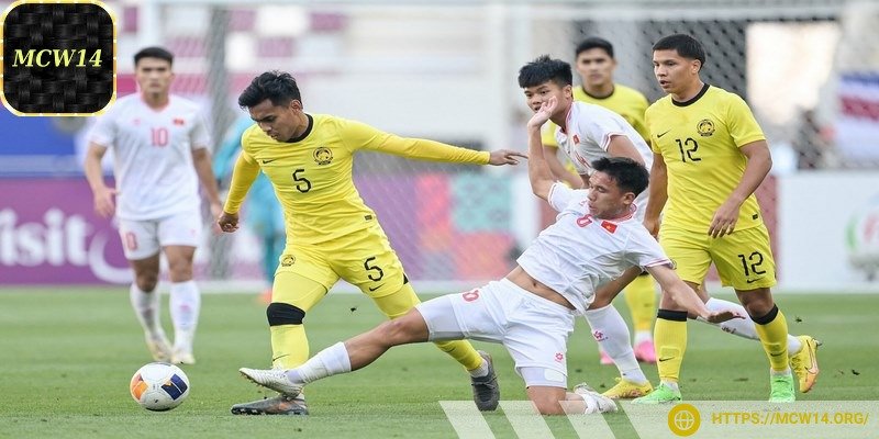 Thực hiện phân tích dữ liệu thống kê trước khi đưa ra lựa chọn